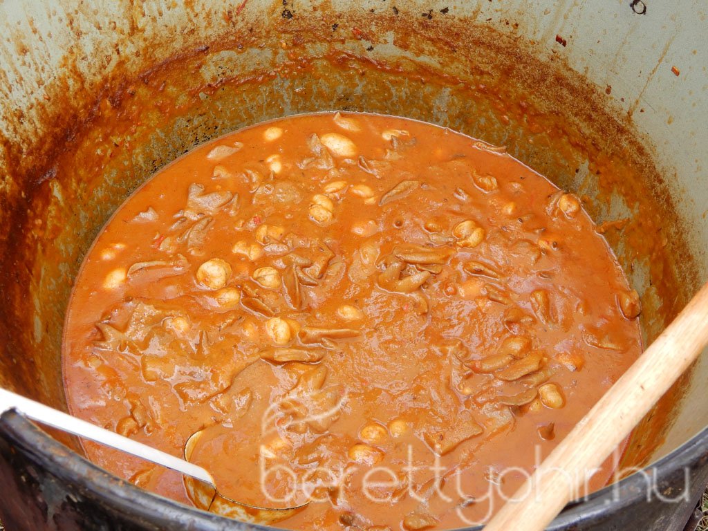 Helyi Értékek Startja 119